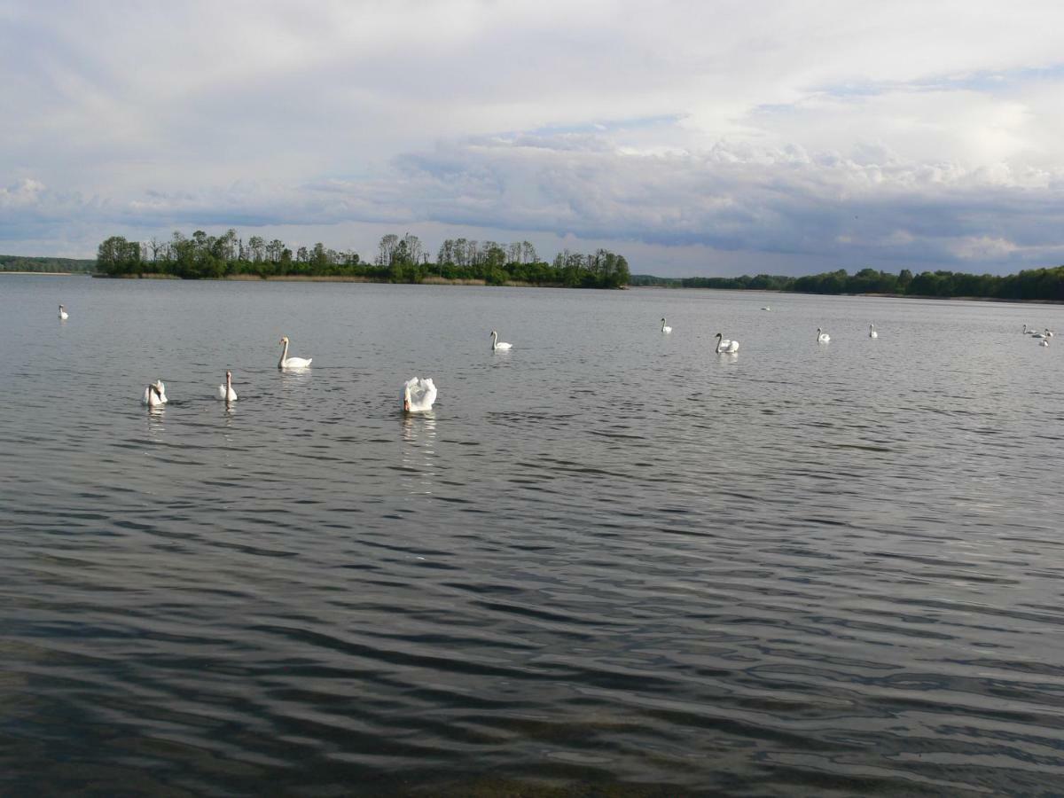 Rydzowka Zlota Lesniczowkaヴィラ エクステリア 写真
