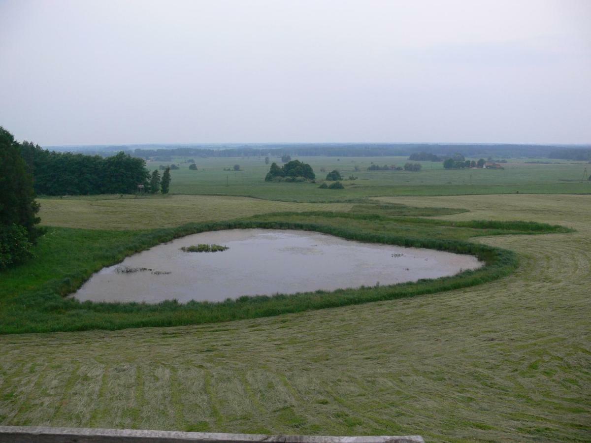 Rydzowka Zlota Lesniczowkaヴィラ エクステリア 写真