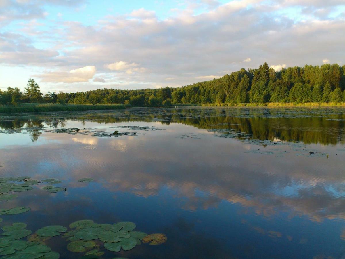 Rydzowka Zlota Lesniczowkaヴィラ エクステリア 写真